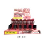 LABIAL LIP NEW 2BH-848